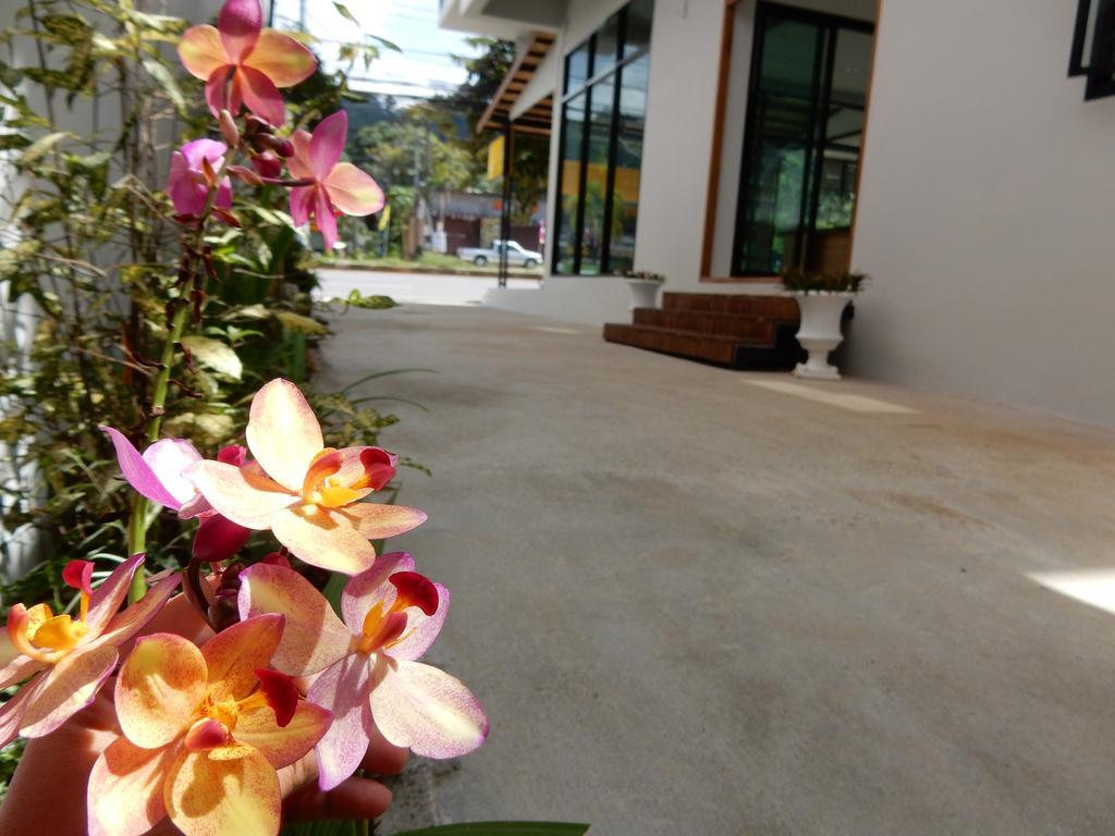 Wandee Bed & Breakfast Khao Lak Luaran gambar